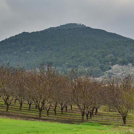 Pearl Of The Valley Hotel Kfar Tavor Экстерьер фото