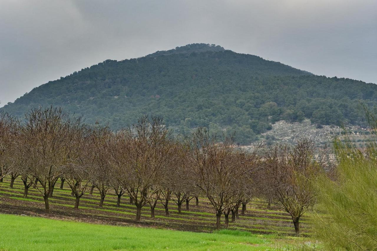 Pearl Of The Valley Hotel Kfar Tavor Экстерьер фото