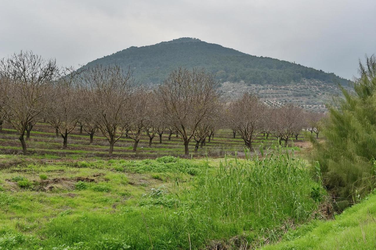 Pearl Of The Valley Hotel Kfar Tavor Экстерьер фото
